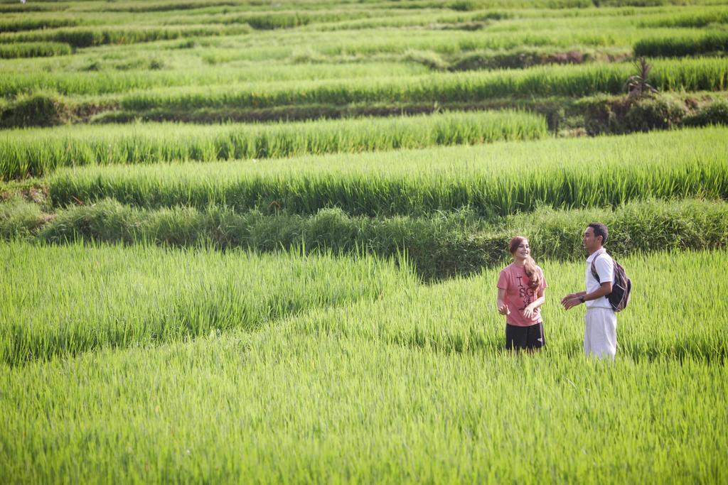Manyi Village Ubud Exterior foto