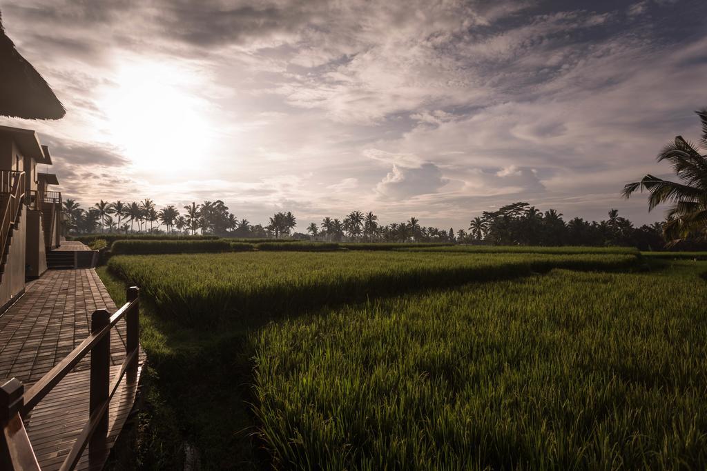 Manyi Village Ubud Exterior foto
