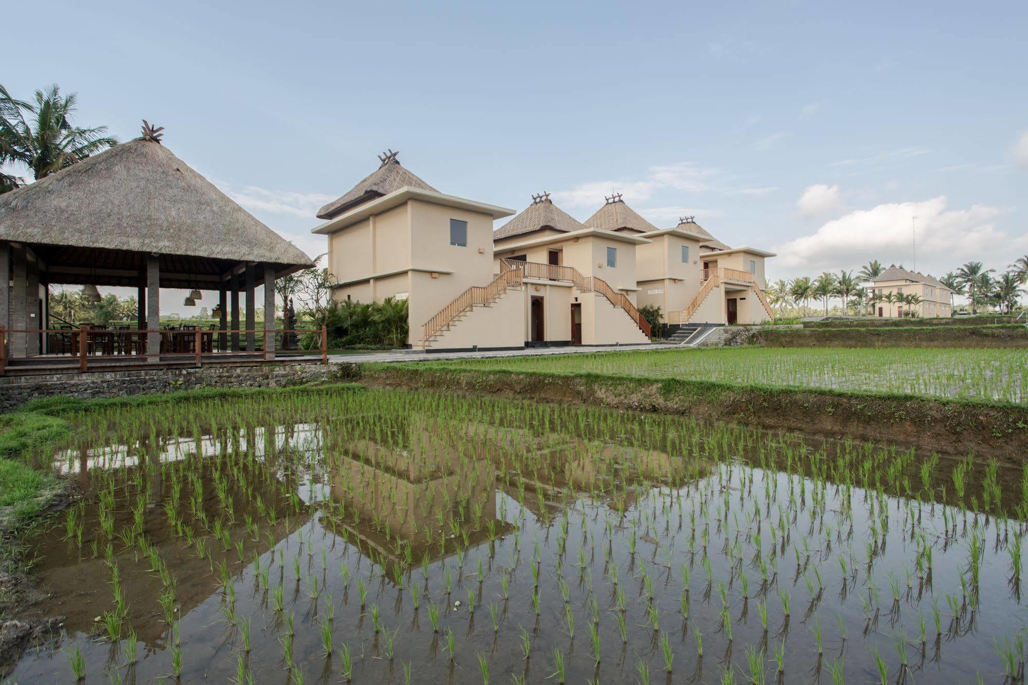 Manyi Village Ubud Exterior foto